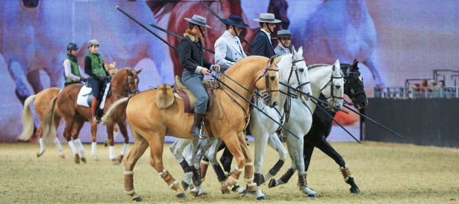 5 esportes com cavalo - Revista Globo Rural